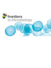 Frontiers in Microbiology雜志封面